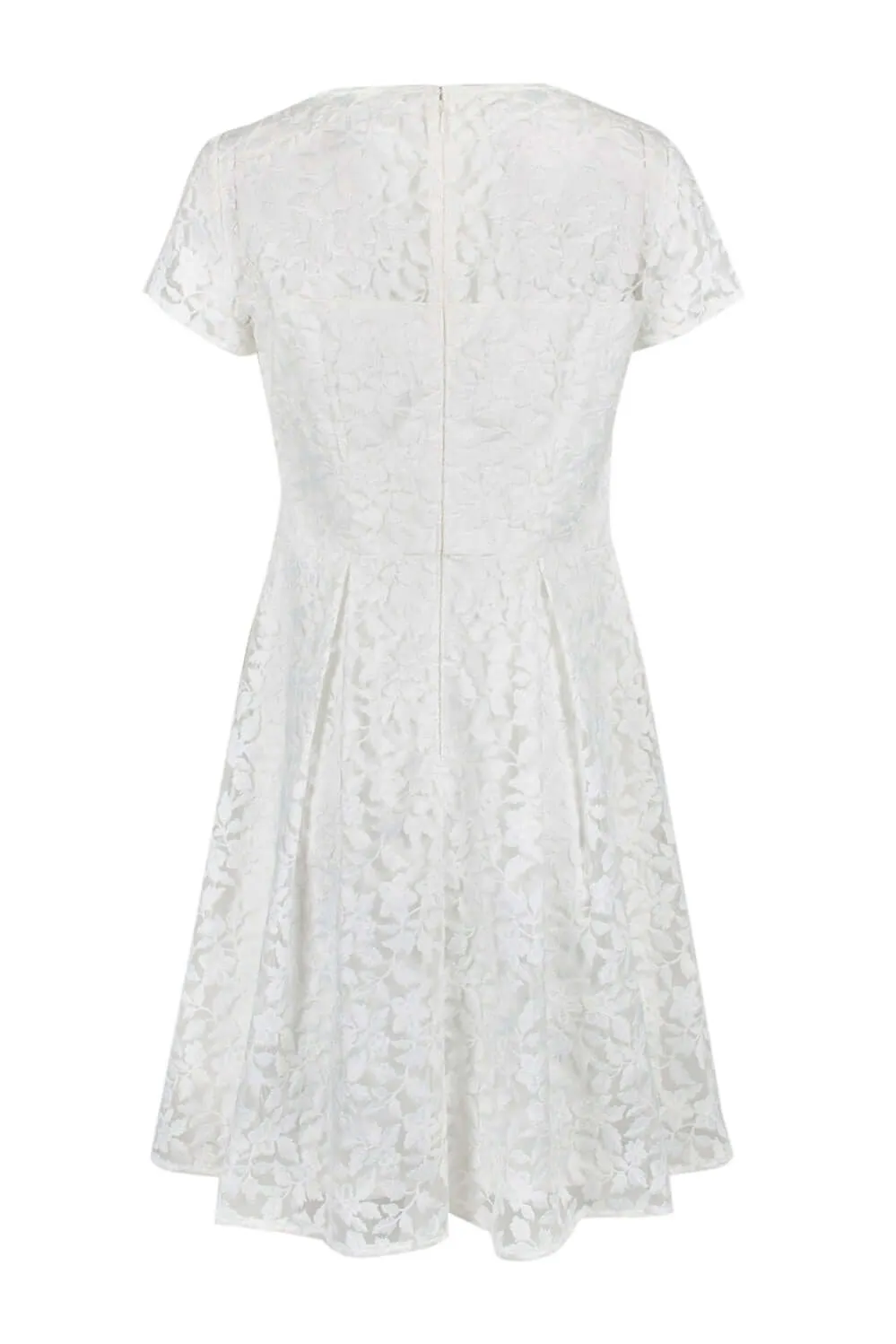 Adrianna Papell Boat Neck Short Sleeve A-Line Box Pleat Zipper Back Embroidered Dress