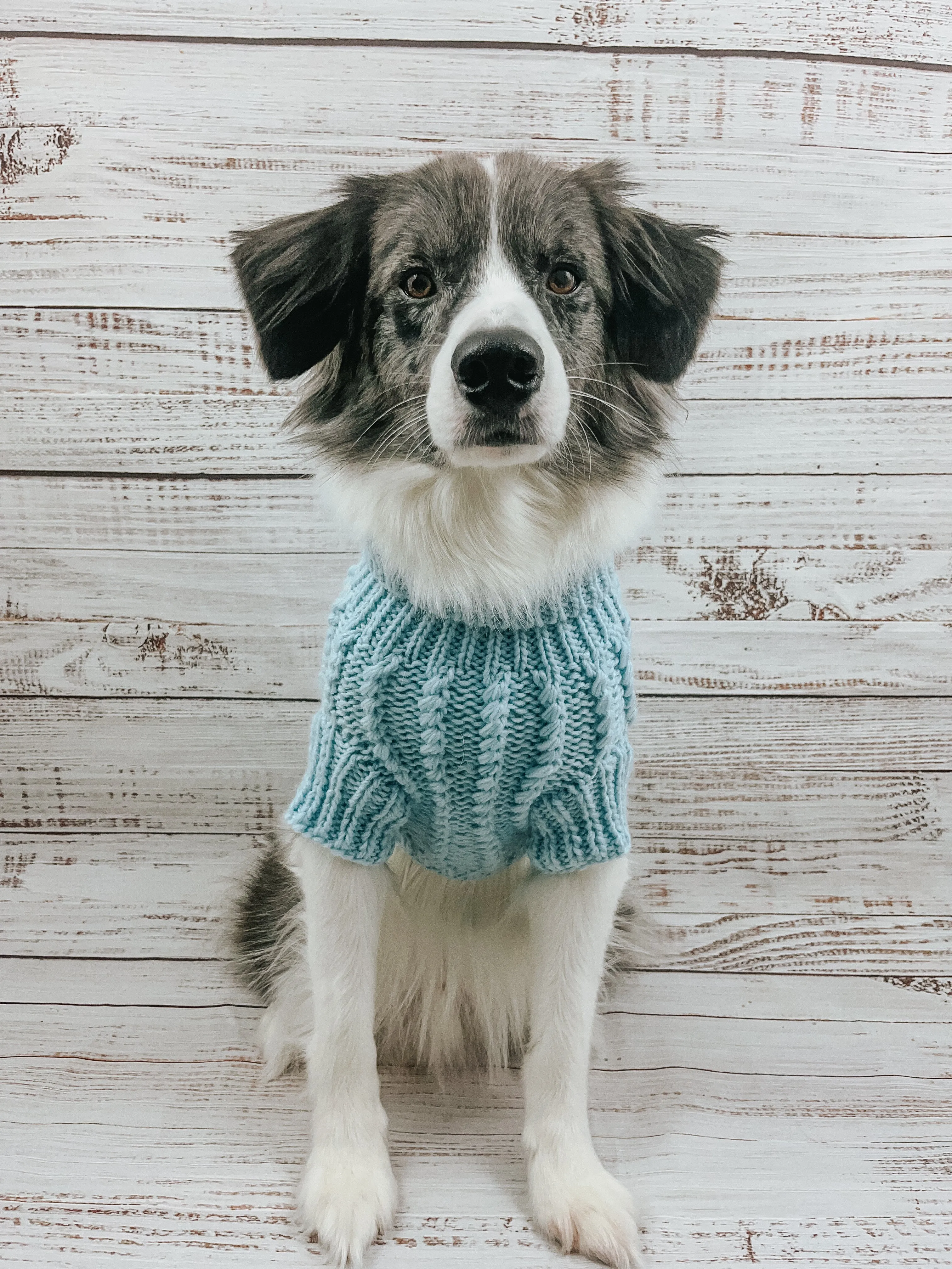 Dog Cable Knit Sweater - Light Blue