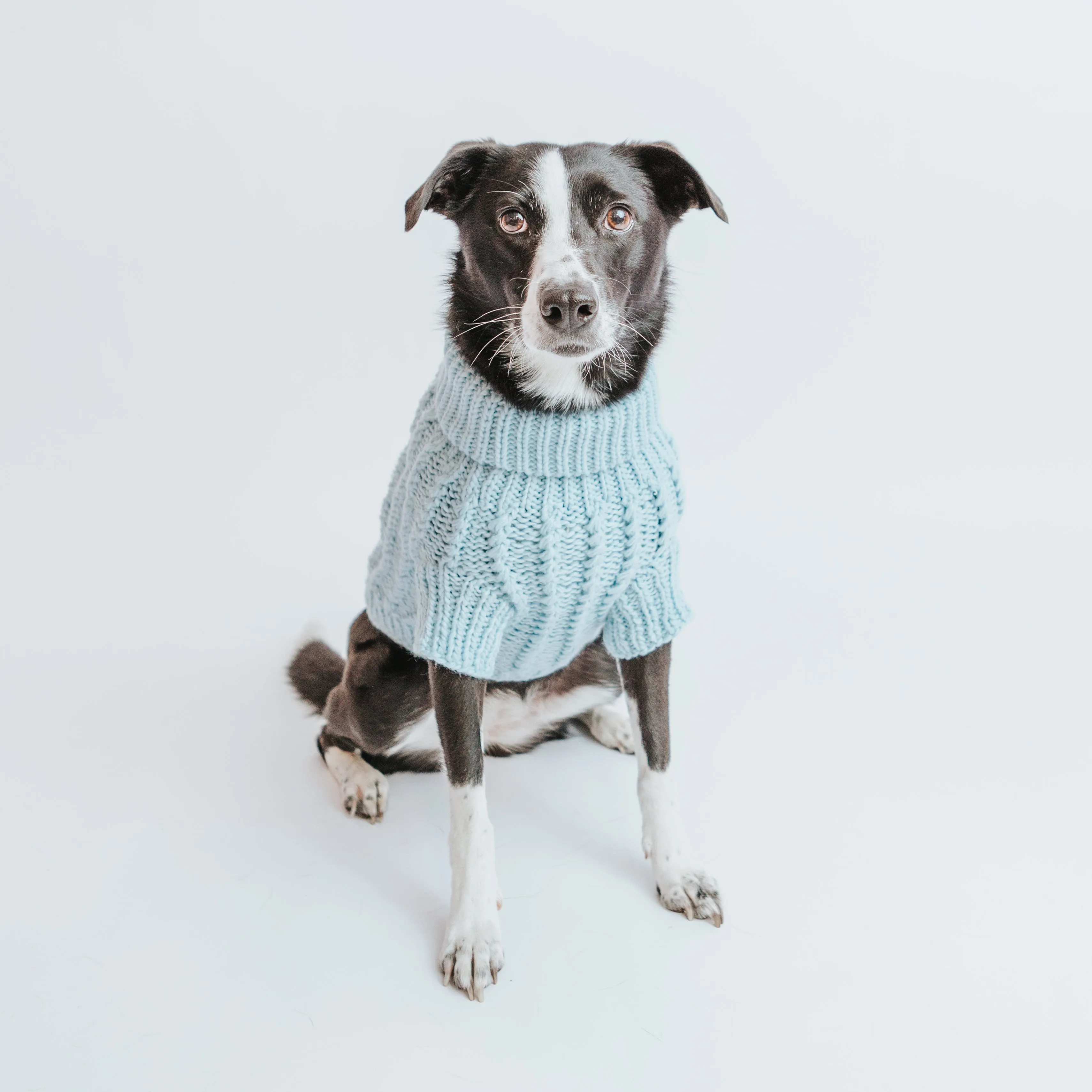 Dog Cable Knit Sweater - Light Blue