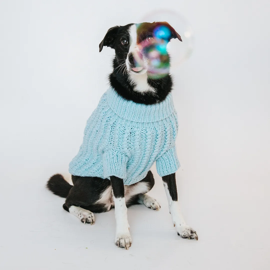 Dog Cable Knit Sweater - Light Blue